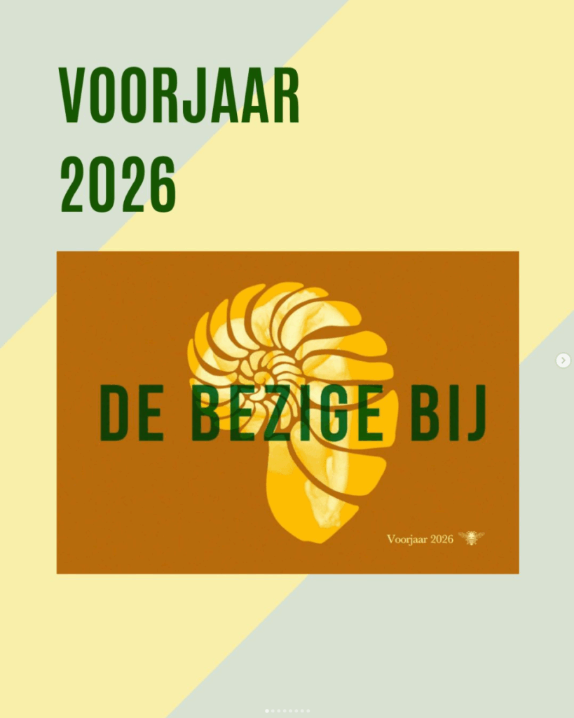 Voorjaarsbrochure 2026