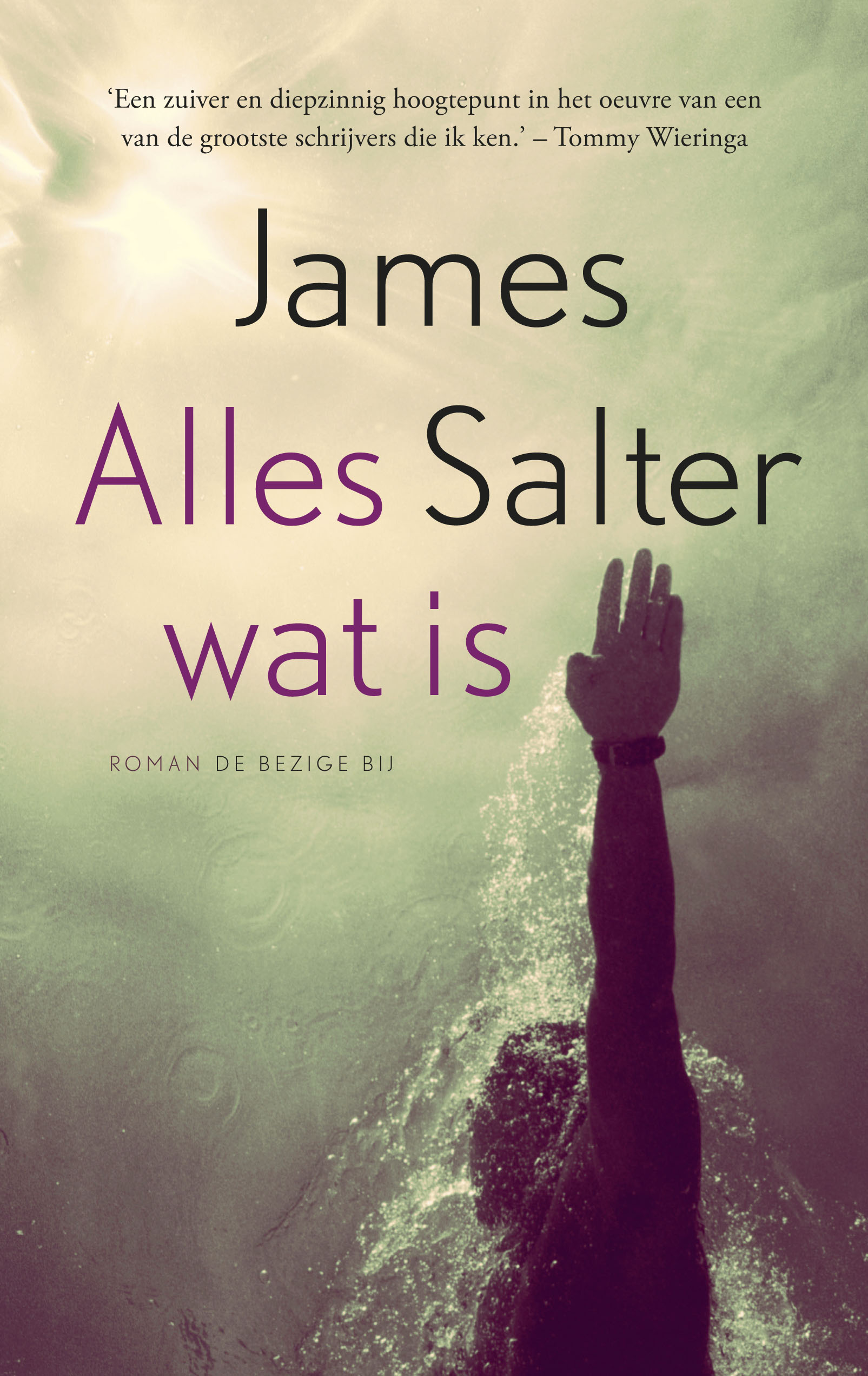 Alles wat is