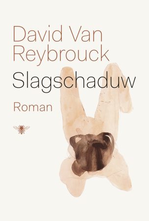 Slagschaduw