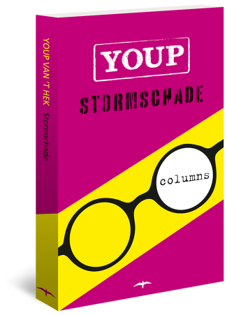 Stormschade