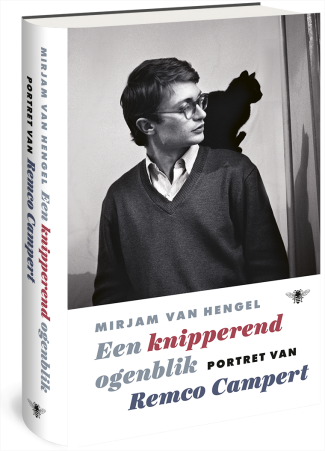 Een knipperend ogenblik